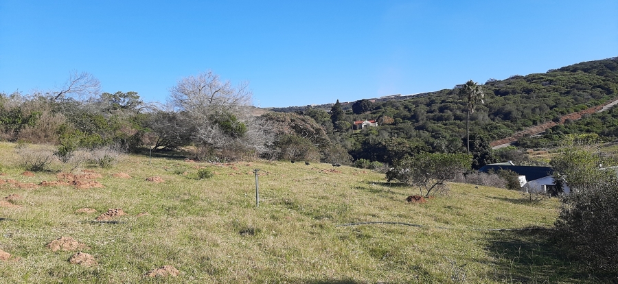 Commercial Property for Sale in Bergsig Western Cape